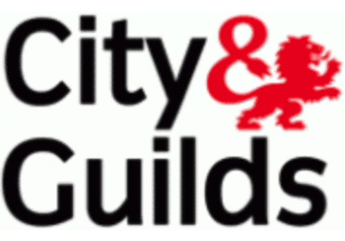 city and guilds cropped 2